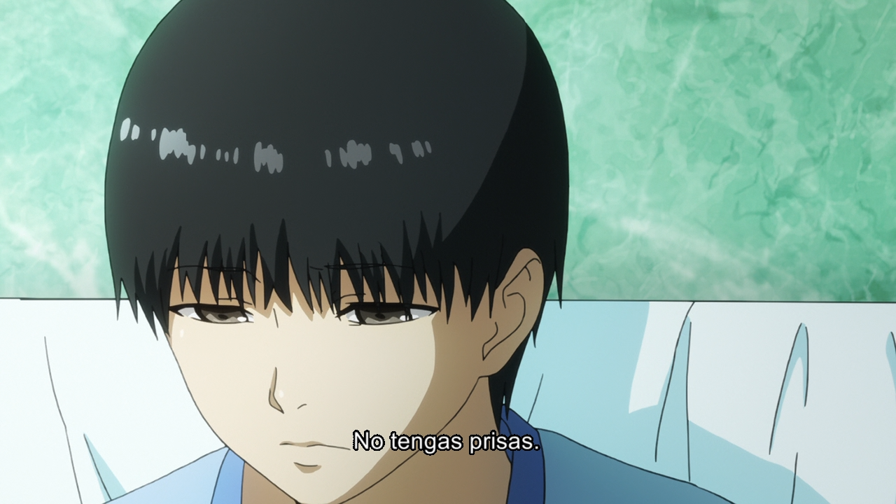 Tokyo Ghoul (Animelliure)